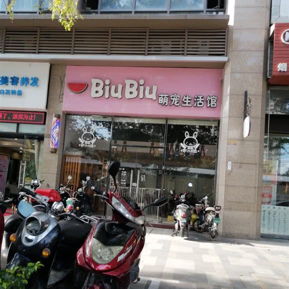 BiuBiu萌宠生活馆:南宁市良庆区玉洞附近
