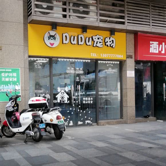 DuDu宠物:南宁市良庆区玉洞附近