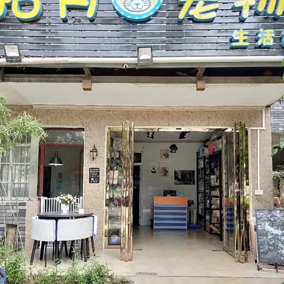 拾月宠物生活馆:柳州市城中区市中心附近