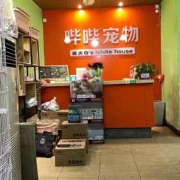 哔哔宠物狗工作室:柳州市城中区市中心附近