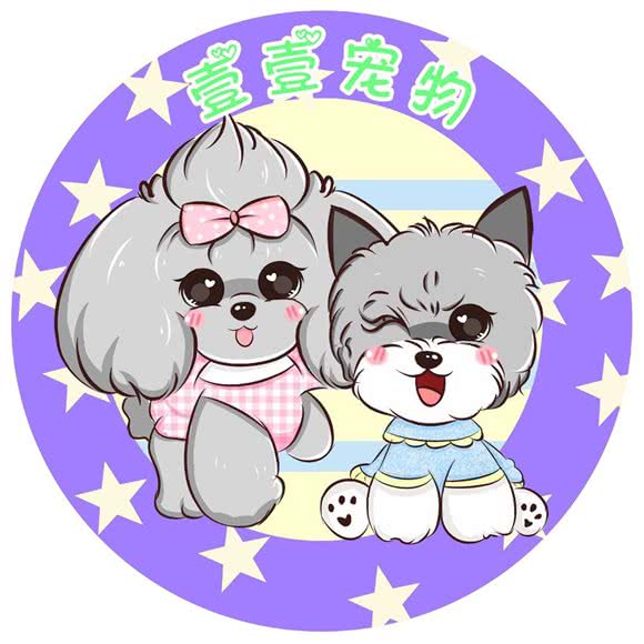壹壹宠物:柳州市城中区市中心附近