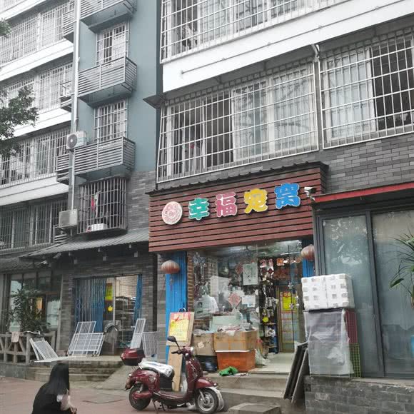幸福宠窝:柳州市城中区市中心附近