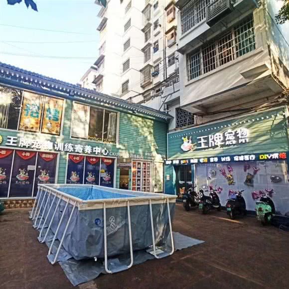 王牌宠物训练寄养中心:柳州市城中区市中心附近