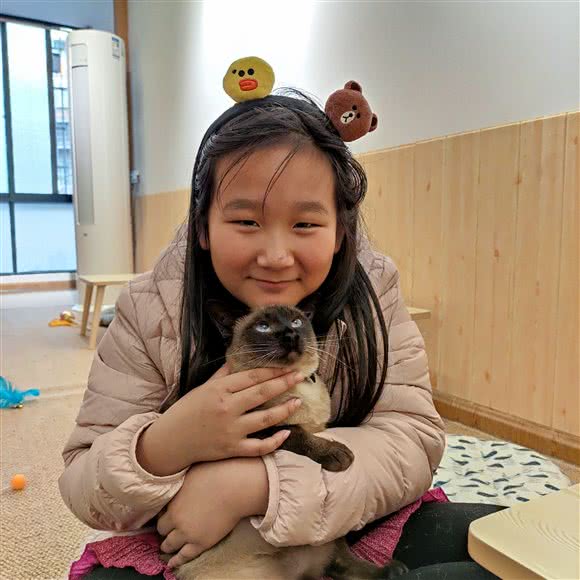 有故事的猫:柳州市城中区市中心附近