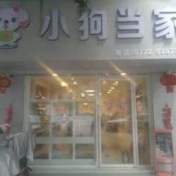 狗狗当家:柳州市城中区市中心附近