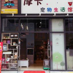 摩卡宠物:柳州市城中区阳光100附近