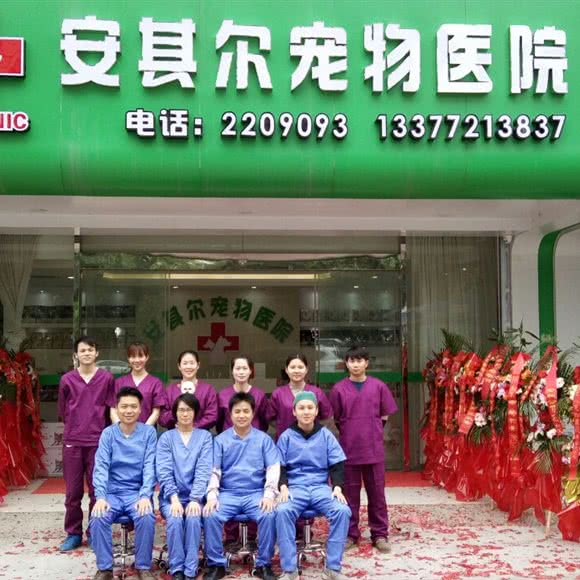 安其尔宠物医院:柳州市城中区阳光100附近
