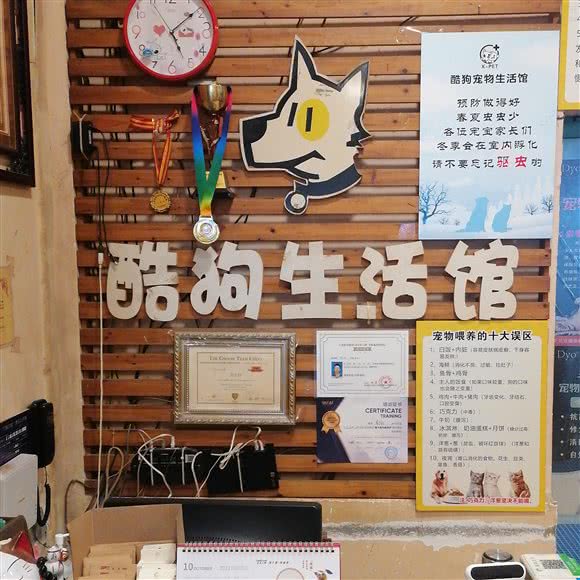 酷狗五星级宠物连锁店:柳州市城中区高新区附近