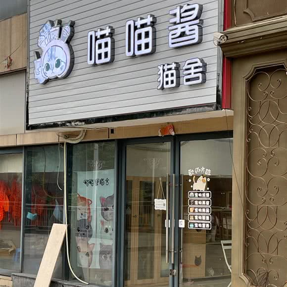 喵喵酱猫舍:柳州市城中区金沙角附近