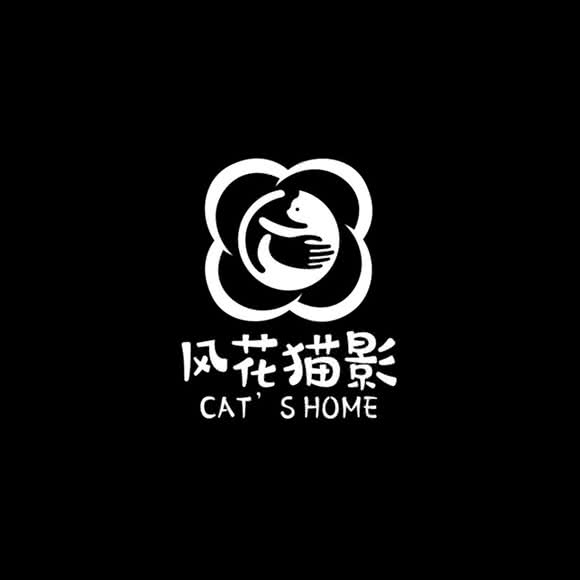 风花猫影:柳州市鱼峰区东环附近