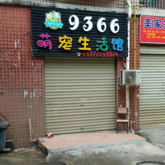9366萌宠生活馆:柳州市鱼峰区宝莲新都附近