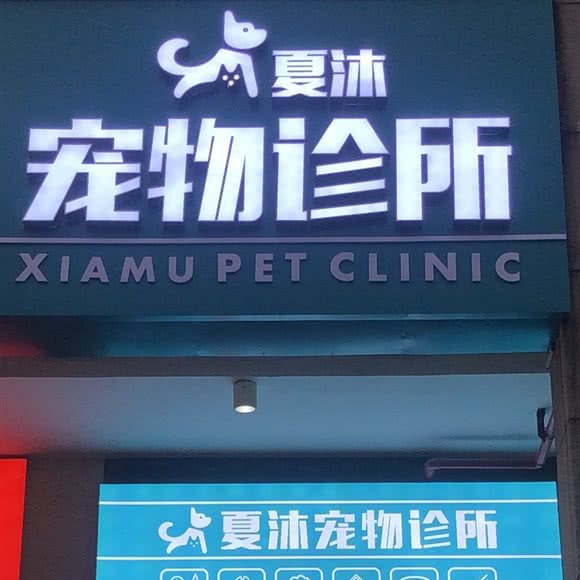 夏沐宠物诊所:柳州市鱼峰区万象城附近