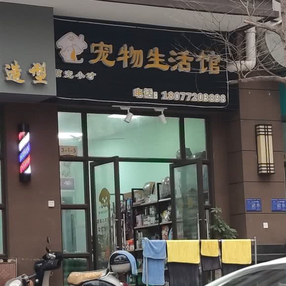 萌宠小才宠物生活馆:柳州市柳南区航银附近