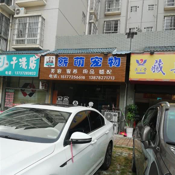 薪萌宠物:柳州市柳南区航银附近