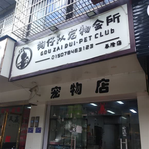 狗仔队宠物会所(基隆店):柳州市柳南区航银附近