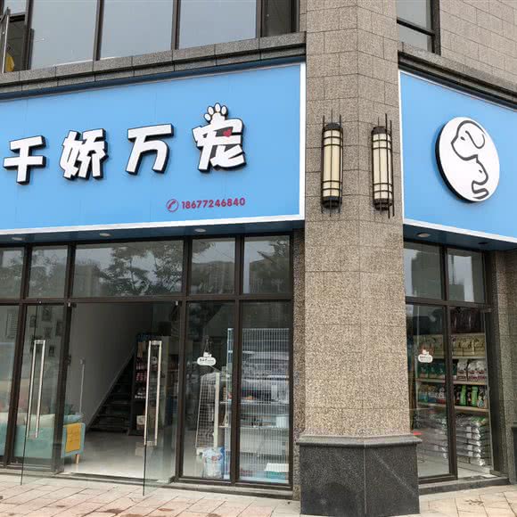 汪喵宠物:柳州市柳南区航银附近