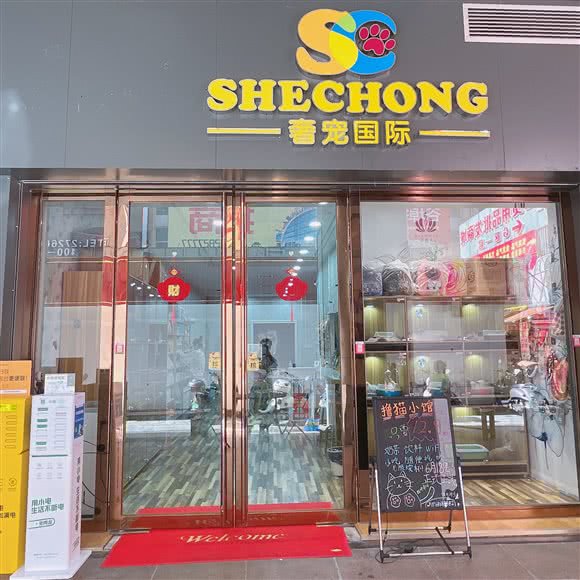 奢宠国际宠物店:柳州市柳南区谷埠街国际商城附近