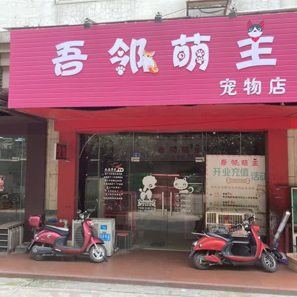吾邻萌主:柳州市柳北区柳北文化广场附近