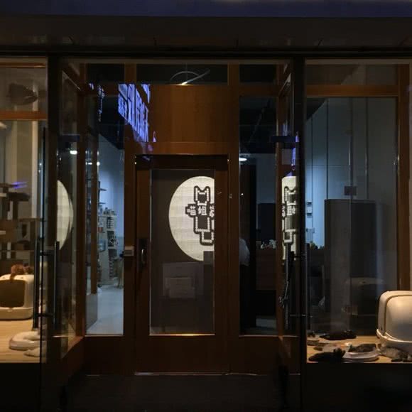 喵姐家有猫腻:柳州市柳北区保利商业广场附近