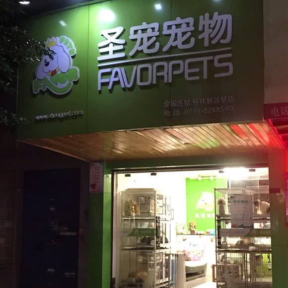 圣宠宠物:桂林市秀峰区中心广场/两江四湖附近