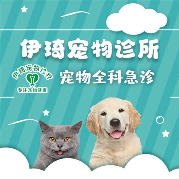 伊琦宠物诊所:桂林市秀峰区中心广场/两江四湖附近