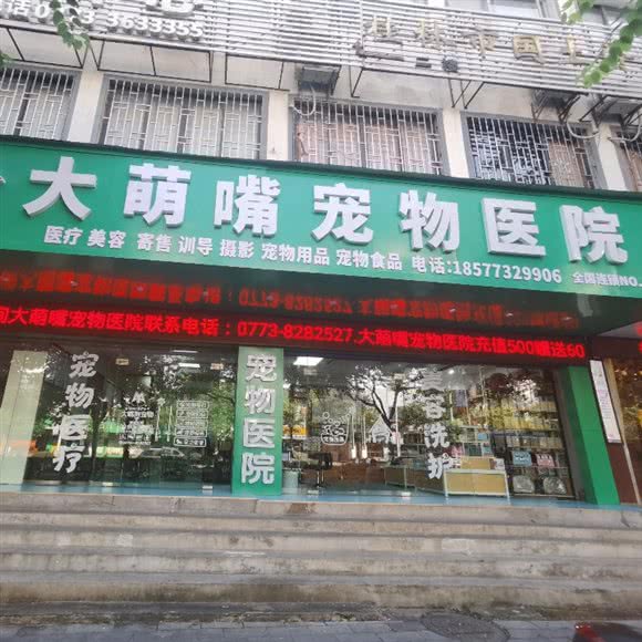 大萌嘴宠物医院:桂林市叠彩区北极广场附近