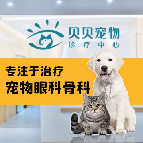 贝贝宠物诊疗中心:桂林市象山区桂林站附近