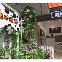 王子宠物(同心园店):桂林市象山区红街商业街附近