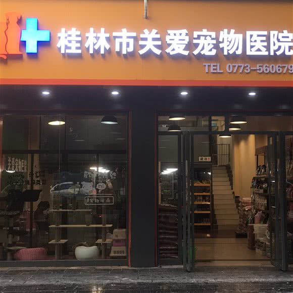 桂林市关爱宠物医院:桂林市七星区理工大学屏风校区附近
