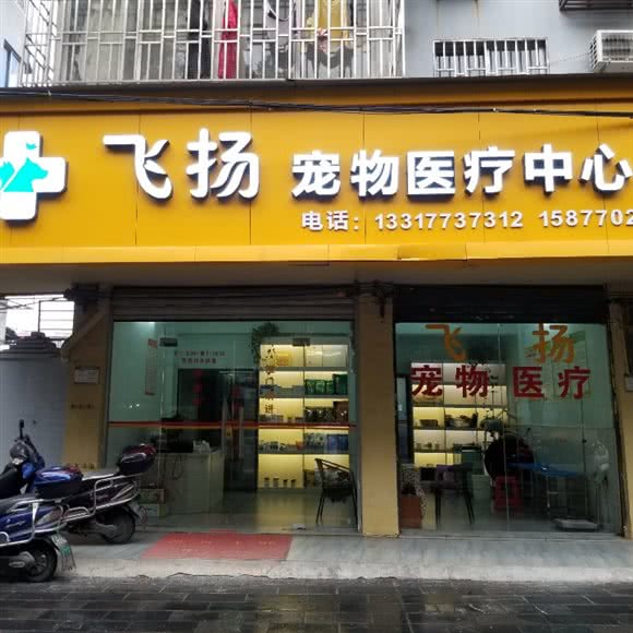 飞扬宠物医疗中心:桂林市七星区理工大学屏风校区附近