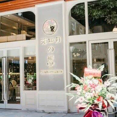 花田月&猫咖:桂林市七星区万达广场附近