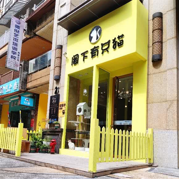 阁下有只猫·猫咪酒店(高新万达金街店):桂林市七星区万达广场附近