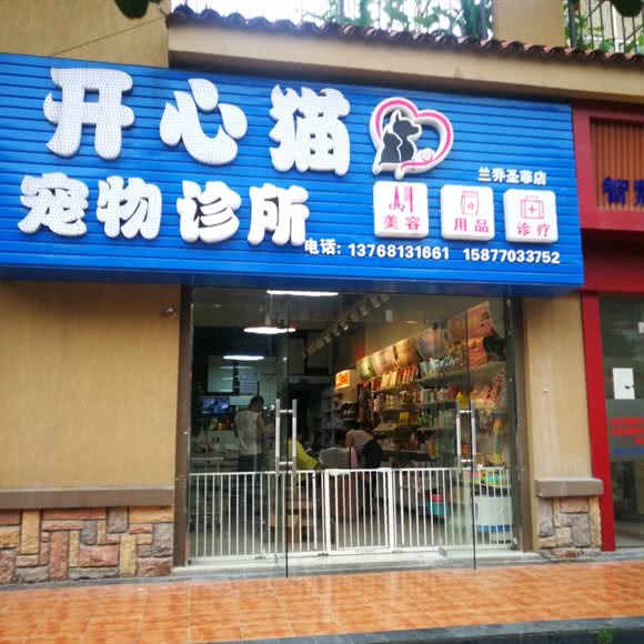 开心猫宠物诊所(兰乔圣菲店):桂林市七星区万达广场附近