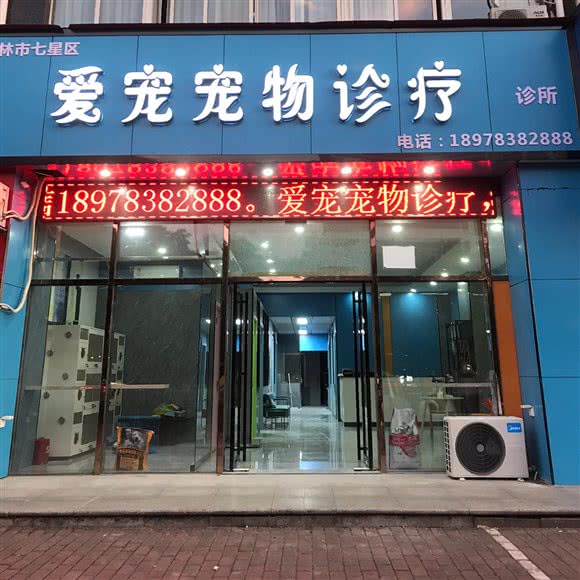 爱宠宠物诊疗:桂林市七星区会展中心/甲天下广场附近