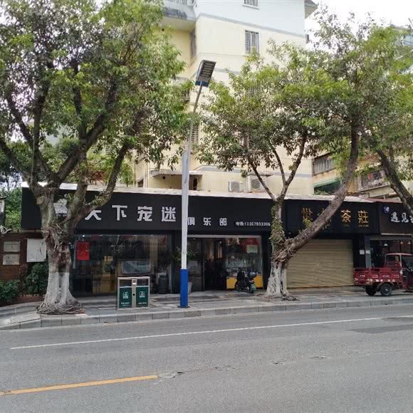 天下宠迷:桂林市七星区会展中心/甲天下广场附近
