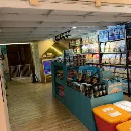 酷狗宠物情报局:桂林市七星区会展中心/甲天下广场附近