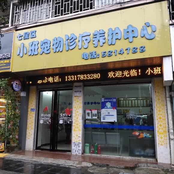 小班宠物诊疗养护中心(七星区店):桂林市七星区会展中心/甲天下广场附近