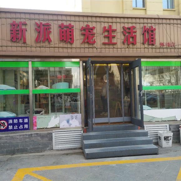 新派萌宠生活馆(怀特店):石家庄市长安区中山东路附近
