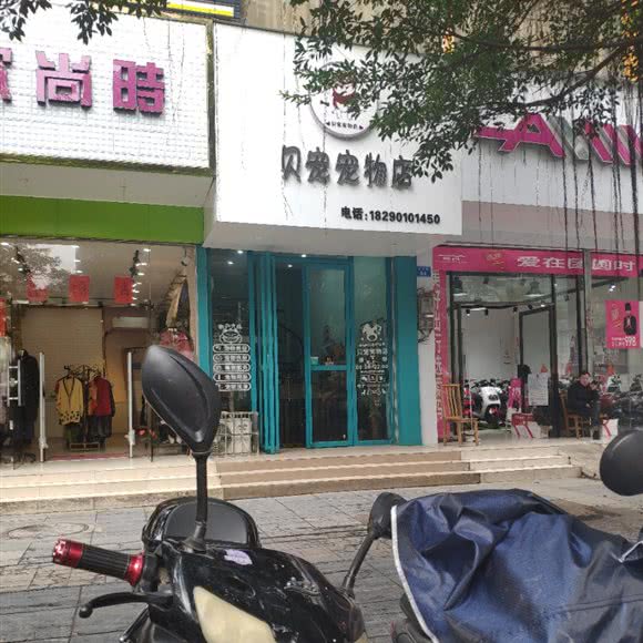 贝宠宠物店:桂林市临桂区临桂区中心城区附近