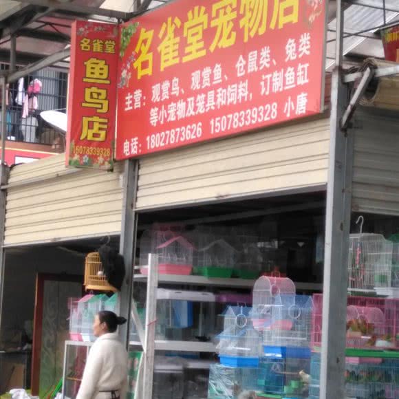 名雀堂面包店:桂林市临桂区花生唐附近