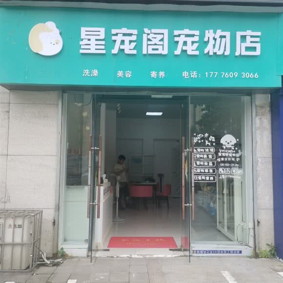星宠阁宠物店:桂林市临桂区花生唐附近
