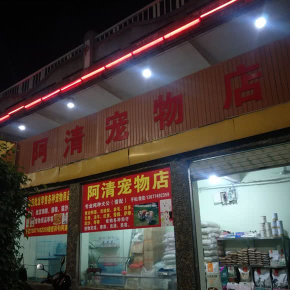 阿清宠物店:梧州市万秀区国泰广场附近