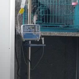 友德医宠物医院:梧州市万秀区太阳广场附近