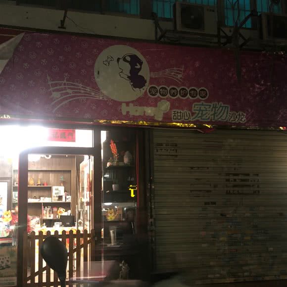 甜心宠物:梧州市长洲区梅西生活广场附近