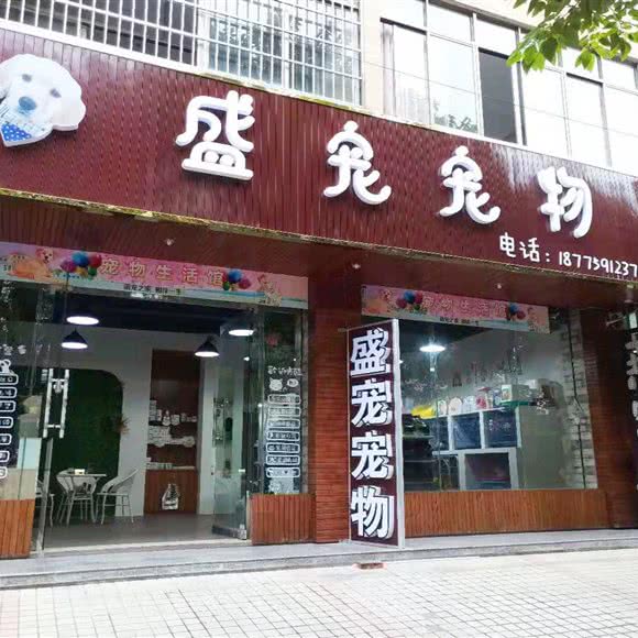 盛宠宠物狗:北海市海城区北京路附近