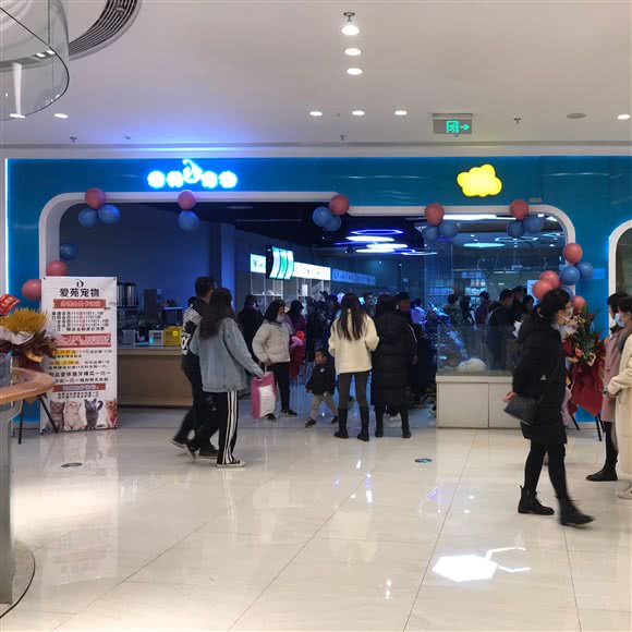 爱苑宠物(吾悦店):北海市银海区吾悦广场附近