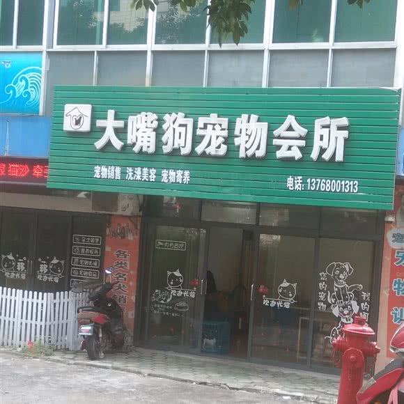 大嘴狗宠物会所:防城港市港口区仙人山公园附近