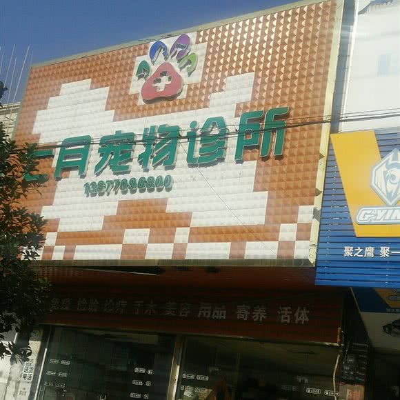 七月宠物诊所:防城港市防城区防城火车站附近