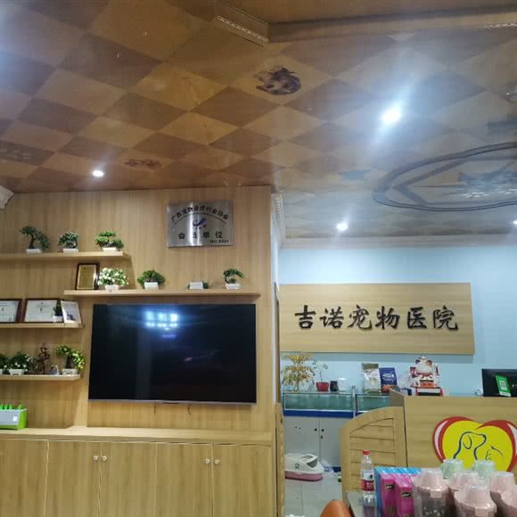 吉诺宠物医院:钦州市钦南区年年丰商业广场附近