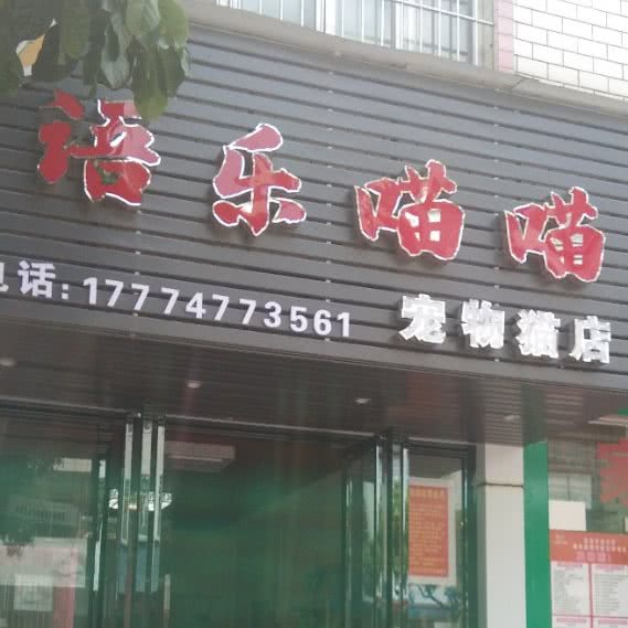 语乐喵喵宠物猫店:钦州市钦南区锦绣家园附近